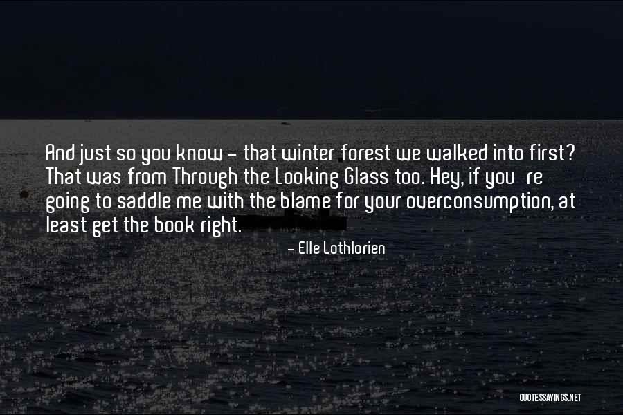 Looking Through The Glass Quotes By Elle Lothlorien Looking Through The Glass Quotes By Elle Lothlorien