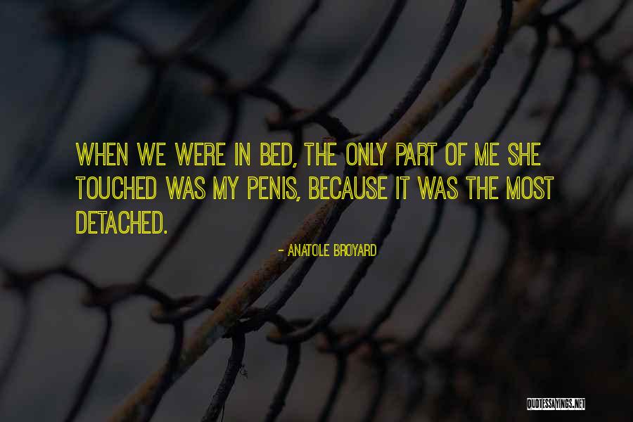 Looking Through The Lens Quotes By Anatole Broyard Looking Through The Lens Quotes By Anatole Broyard