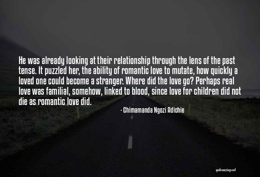 Looking Through The Lens Quotes By Chimamanda Ngozi Adichie Looking Through The Lens Quotes By Chimamanda Ngozi Adichie