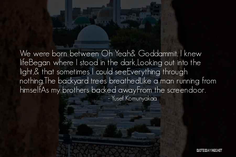 Looking Through The Trees Quotes By Yusef Komunyakaa Looking Through The Trees Quotes By Yusef Komunyakaa