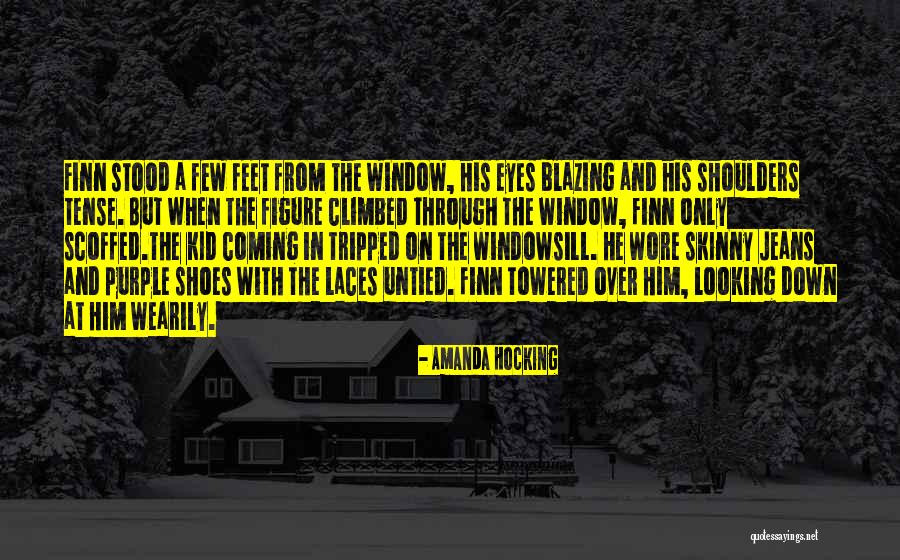 Looking Through The Window Quotes By Amanda Hocking