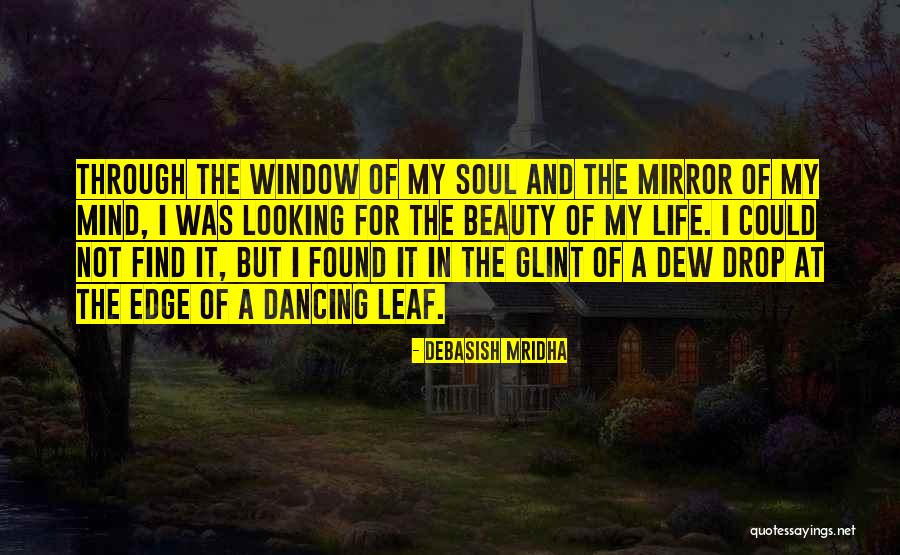 Looking Through The Window Quotes By Debasish Mridha