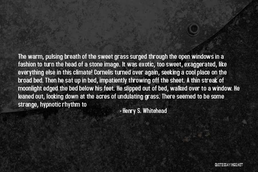 Looking Through The Window Quotes By Henry S. Whitehead