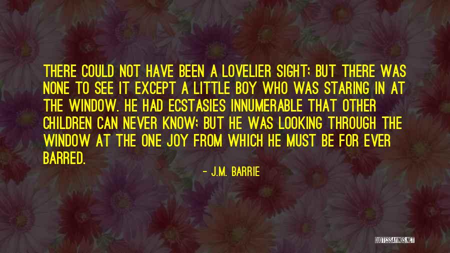 Looking Through The Window Quotes By J.M. Barrie