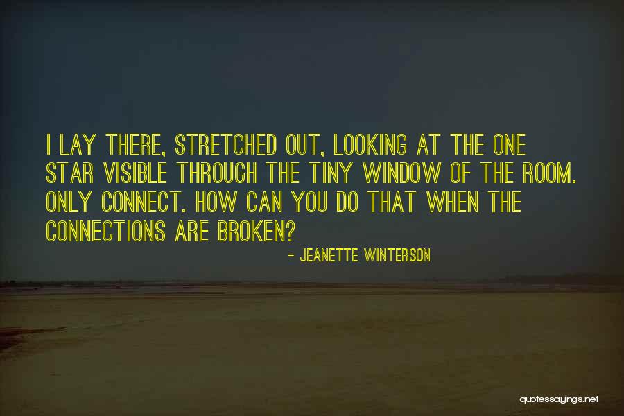 Looking Through The Window Quotes By Jeanette Winterson