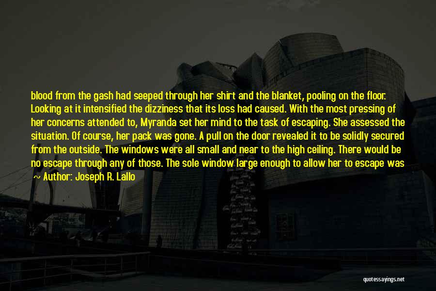 Looking Through The Window Quotes By Joseph R. Lallo