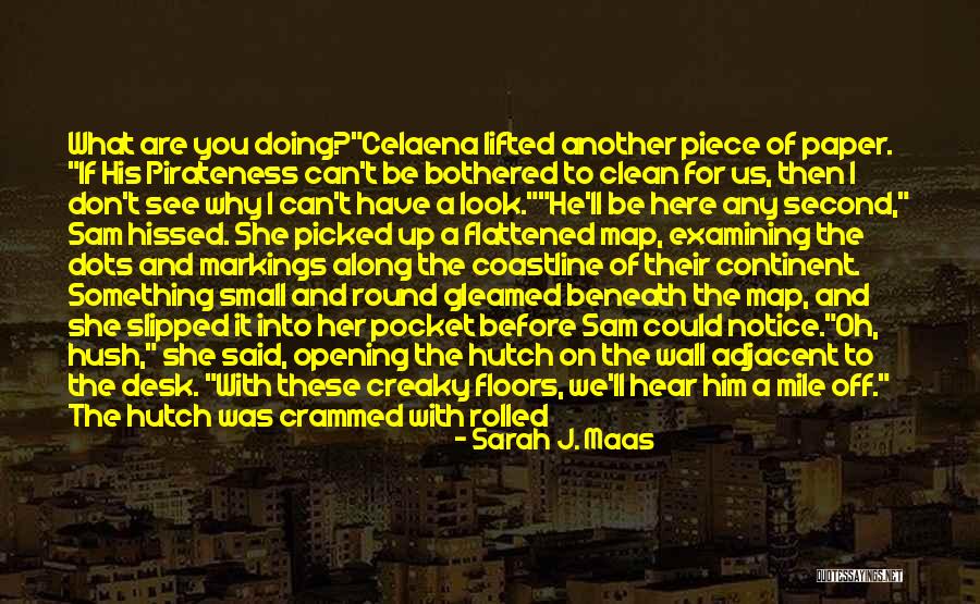 Looking Through The Window Quotes By Sarah J. Maas