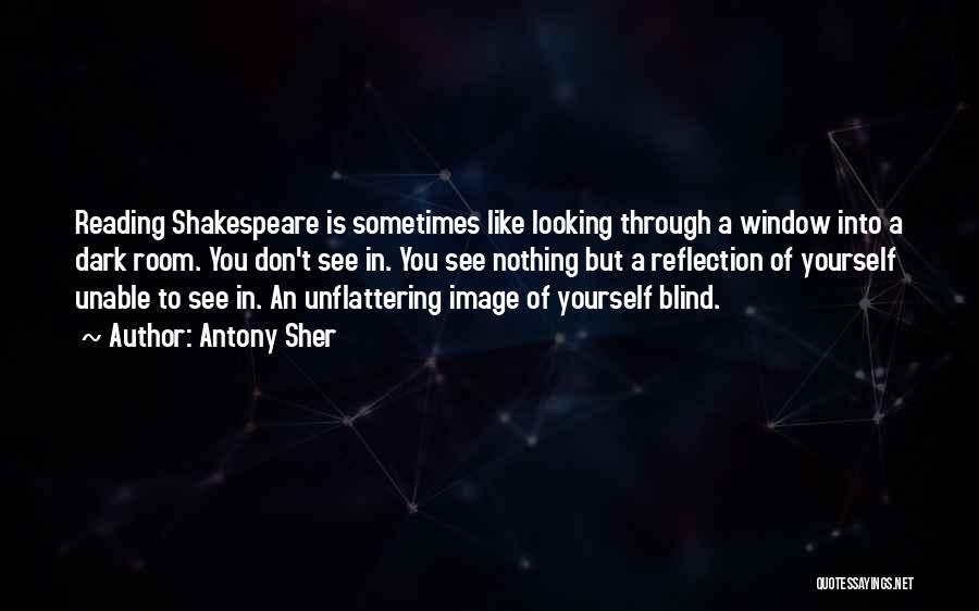 Looking Through Window Quotes By Antony Sher
