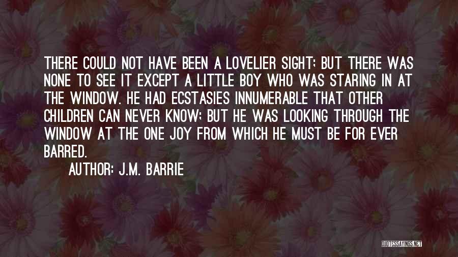 Looking Through Window Quotes By J.M. Barrie