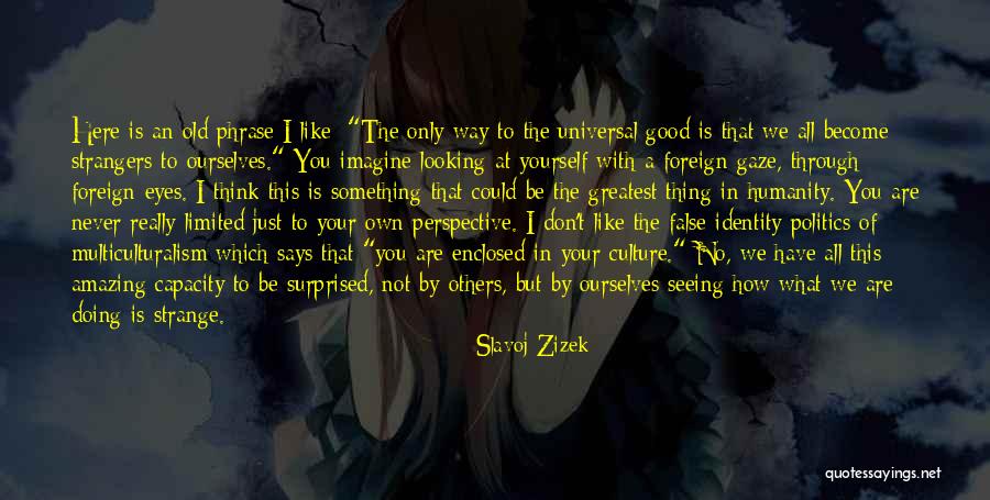 Looking Through Your Eyes Quotes By Slavoj Zizek