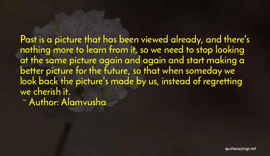 Looking To The Past For The Future Quotes By Alamvusha