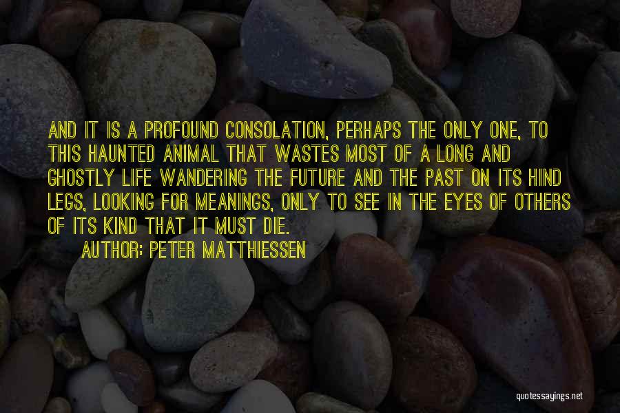 Looking To The Past For The Future Quotes By Peter Matthiessen