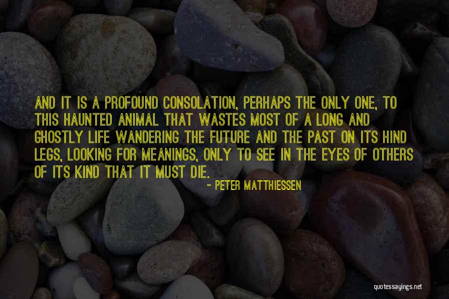 Looking To The Past For The Future Quotes By Peter Matthiessen