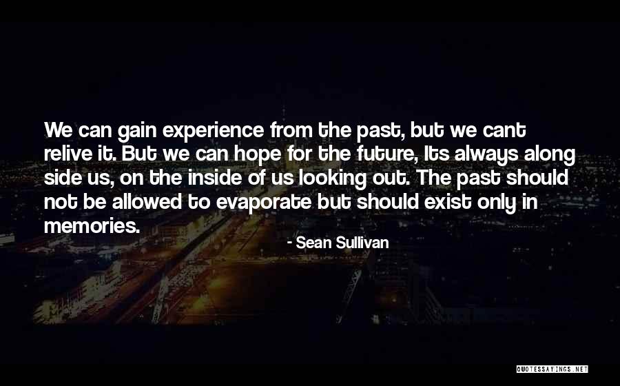 Looking To The Past For The Future Quotes By Sean Sullivan