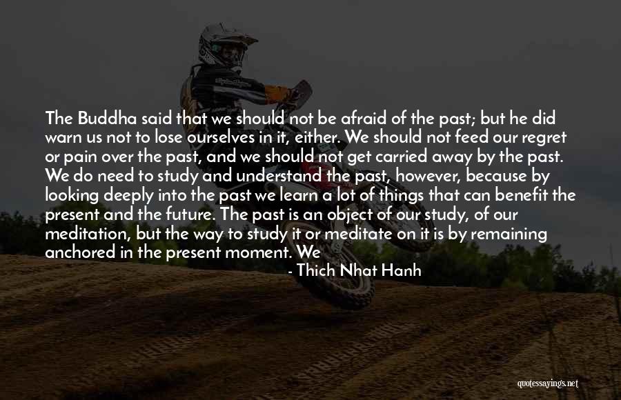 Looking To The Past For The Future Quotes By Thich Nhat Hanh