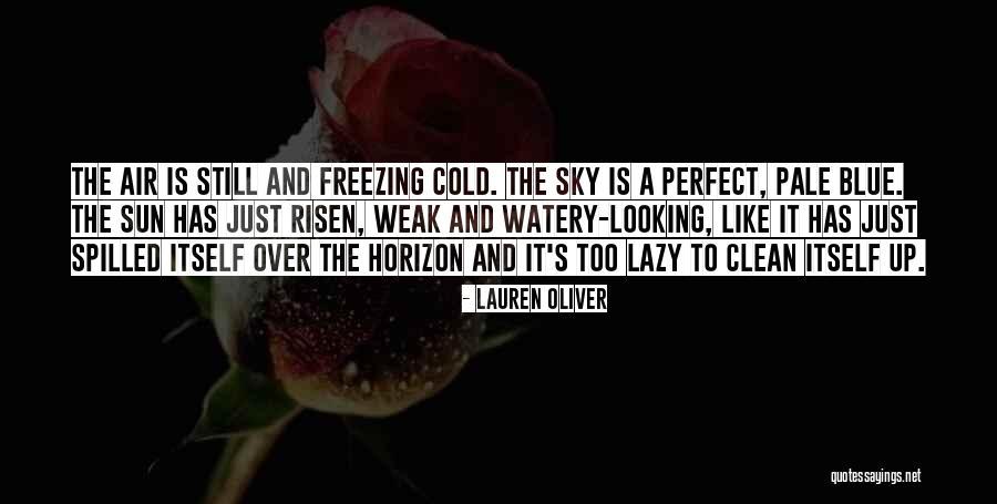 Looking To The Sun Quotes By Lauren Oliver Looking To The Sun Quotes By Lauren Oliver