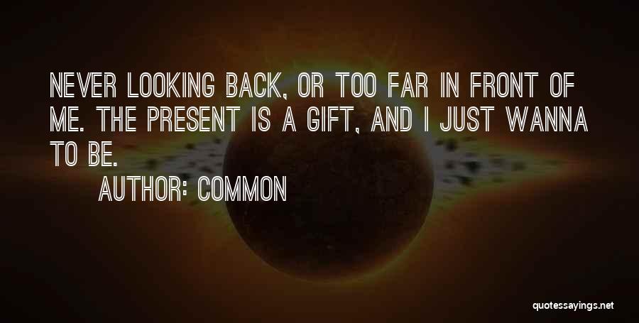 Looking Too Far Quotes By Common