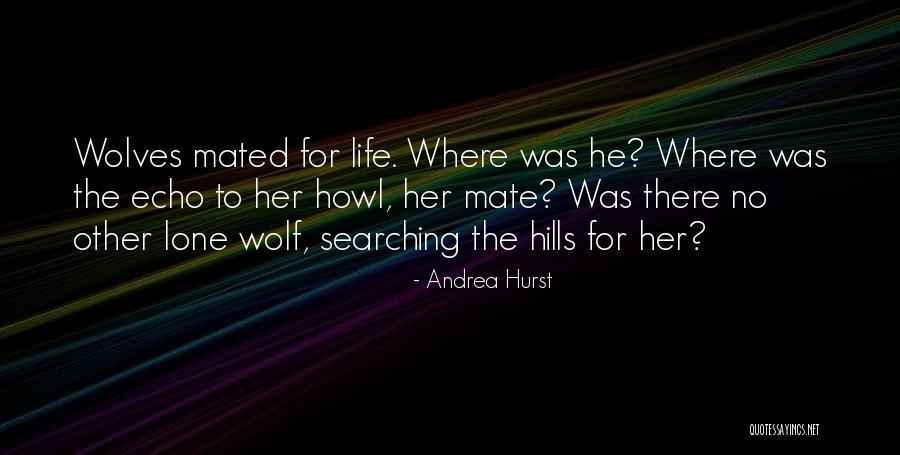 Looking True Love Quotes By Andrea Hurst