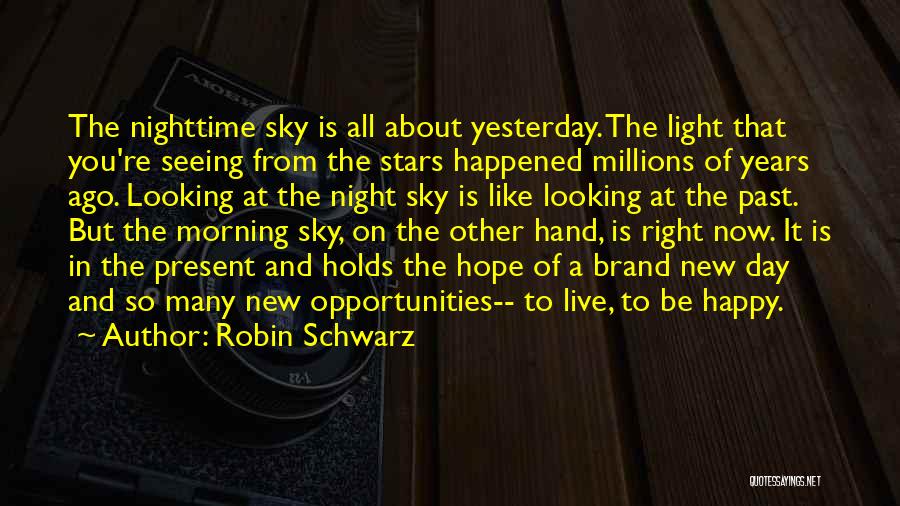 Looking Up At The Night Sky Quotes By Robin Schwarz