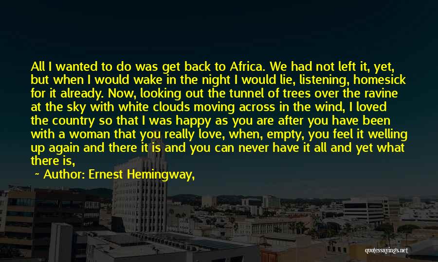 Looking Up At The Sky Quotes By Ernest Hemingway,