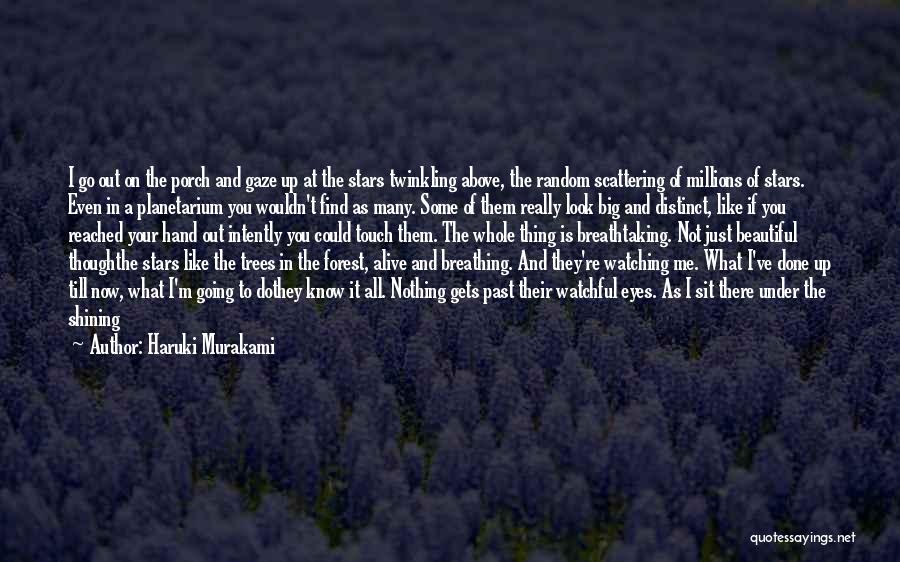 Looking Up At The Sky Quotes By Haruki Murakami