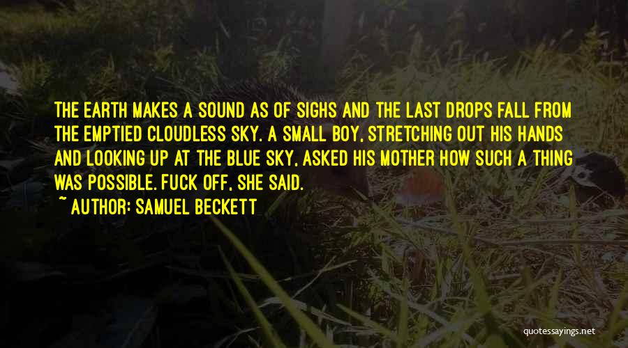 Looking Up At The Sky Quotes By Samuel Beckett