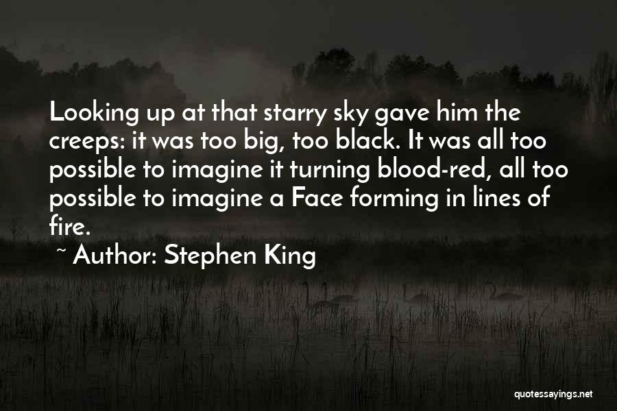 Looking Up At The Sky Quotes By Stephen King