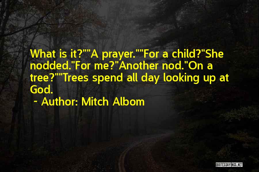 Looking Up At Trees Quotes By Mitch Albom