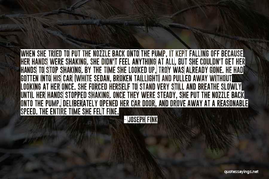 Looking Up To Quotes By Joseph Fink Looking Up To Quotes By Joseph Fink