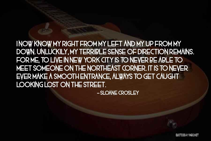 Looking Up To Someone Quotes By Sloane Crosley Looking Up To Someone Quotes By Sloane Crosley