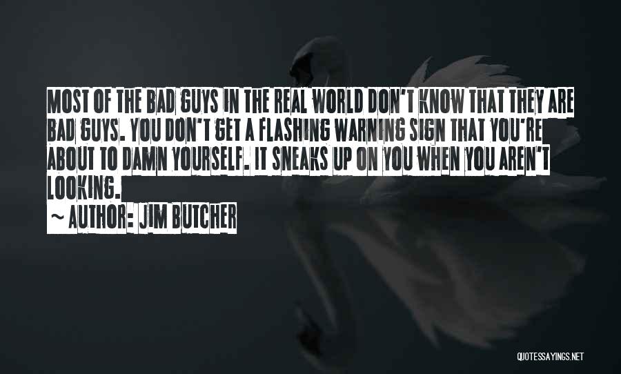 Looking Up To Yourself Quotes By Jim Butcher