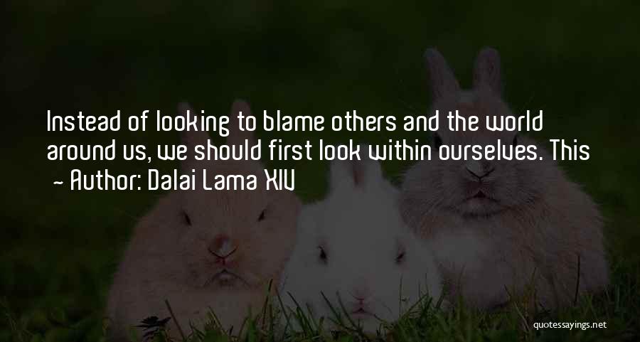 Looking Within Quotes By Dalai Lama XIV