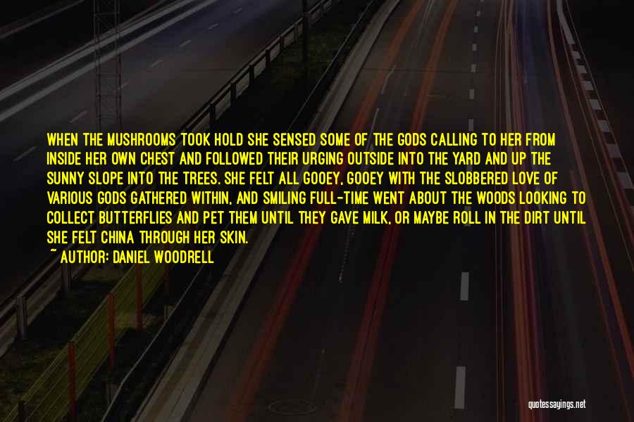 Looking Within Quotes By Daniel Woodrell