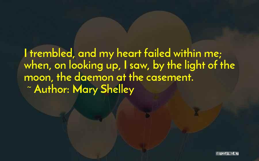 Looking Within Quotes By Mary Shelley