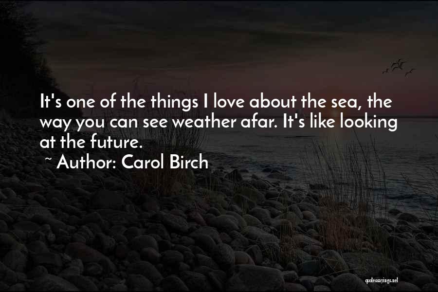 Looking You From Afar Quotes By Carol Birch