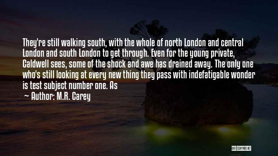 Looking Young Quotes By M.R. Carey