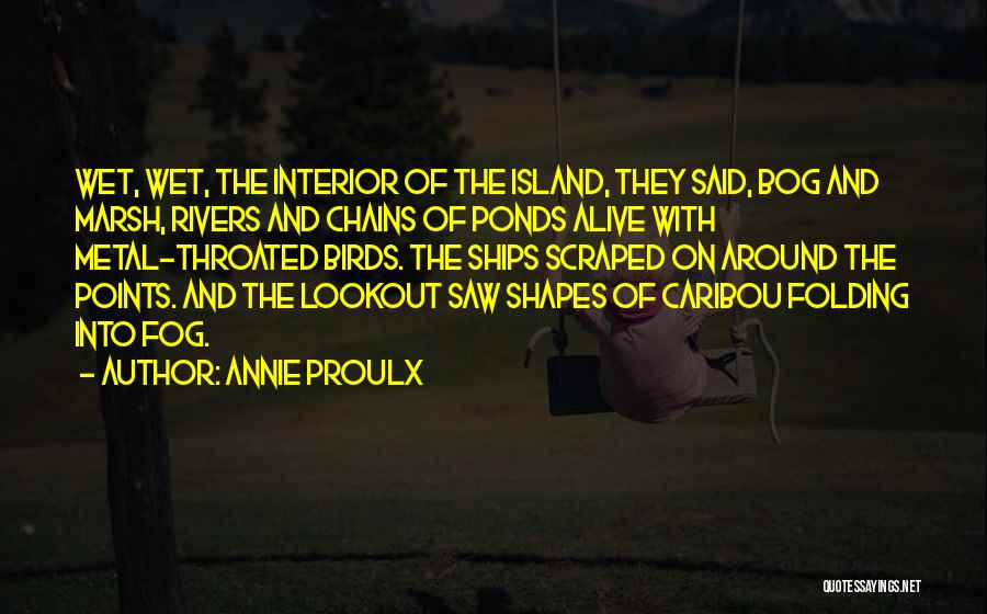 Lookout For Yourself Quotes By Annie Proulx