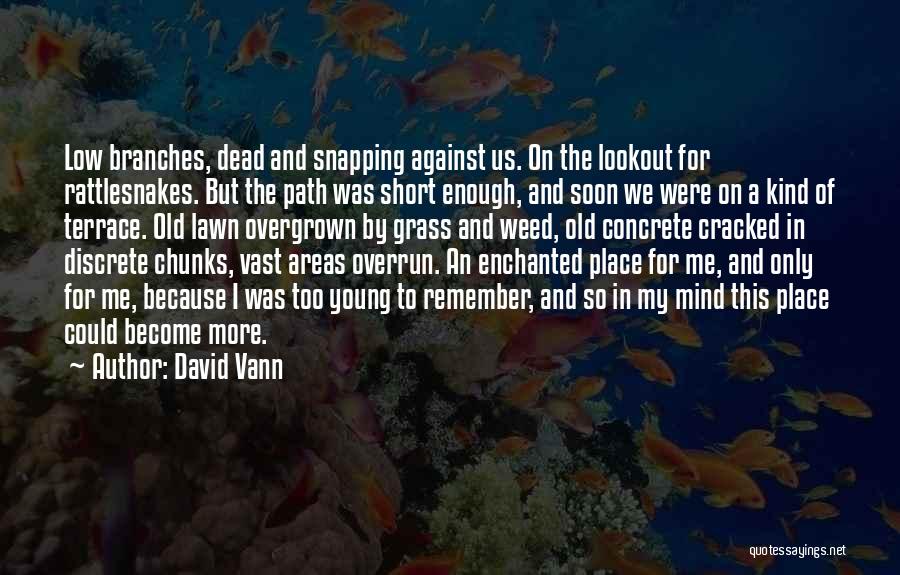 Lookout For Yourself Quotes By David Vann