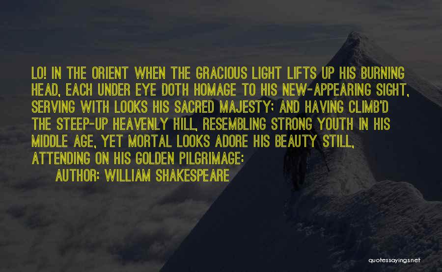 Looks And Beauty Quotes By William Shakespeare