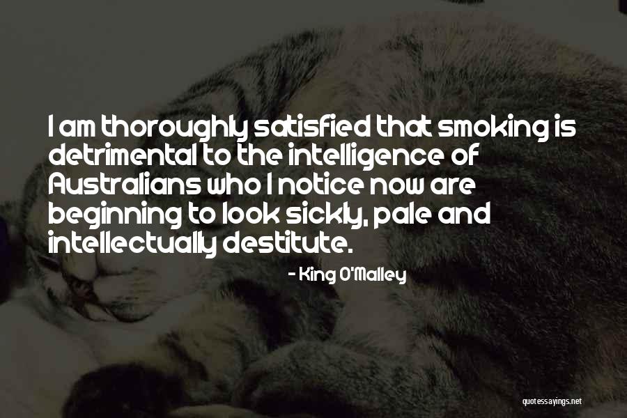 Looks And Intelligence Quotes By King O'Malley