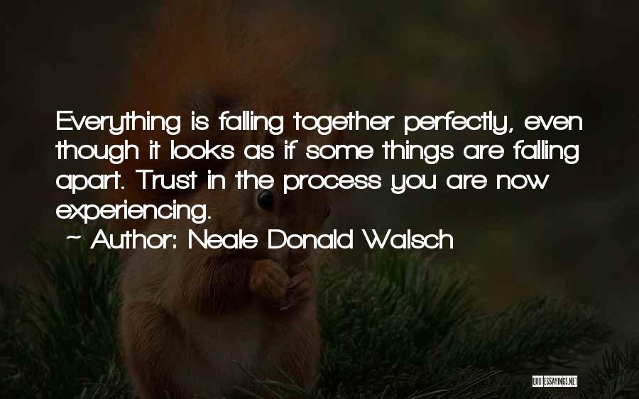 Looks Are Everything Quotes By Neale Donald Walsch