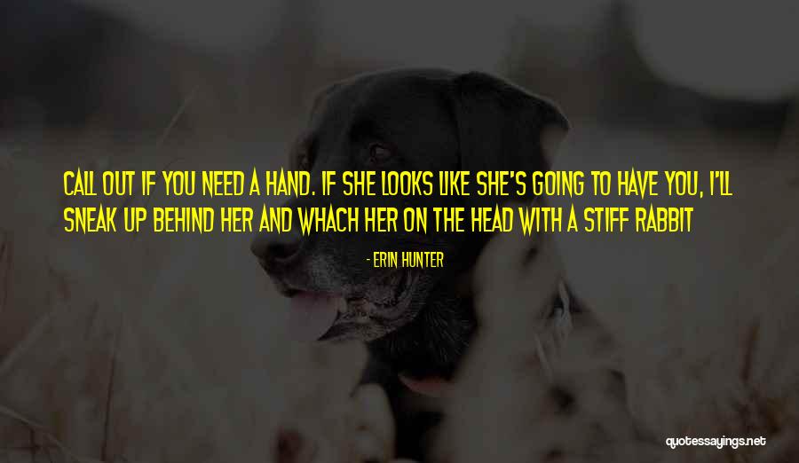 Looks On Quotes By Erin Hunter Looks On Quotes By Erin Hunter