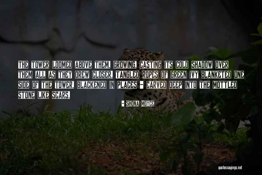 Loomed Quotes By Shona Moyce Loomed Quotes By Shona Moyce