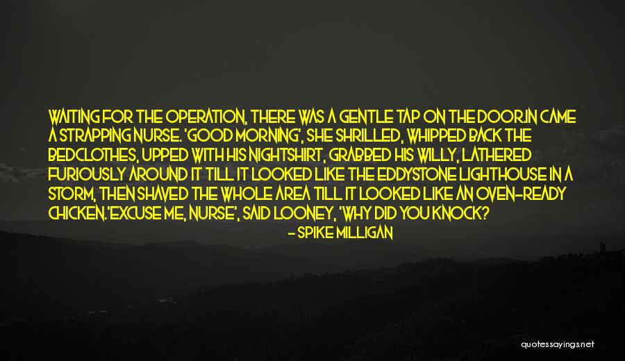 Looney Quotes By Spike Milligan