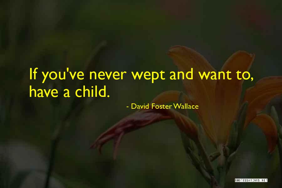 Looney Tunes Funniest Quotes By David Foster Wallace