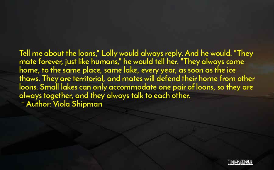 Loons Quotes By Viola Shipman
