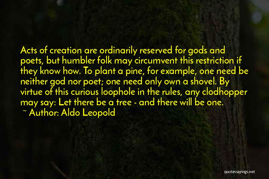 Loophole Quotes By Aldo Leopold
