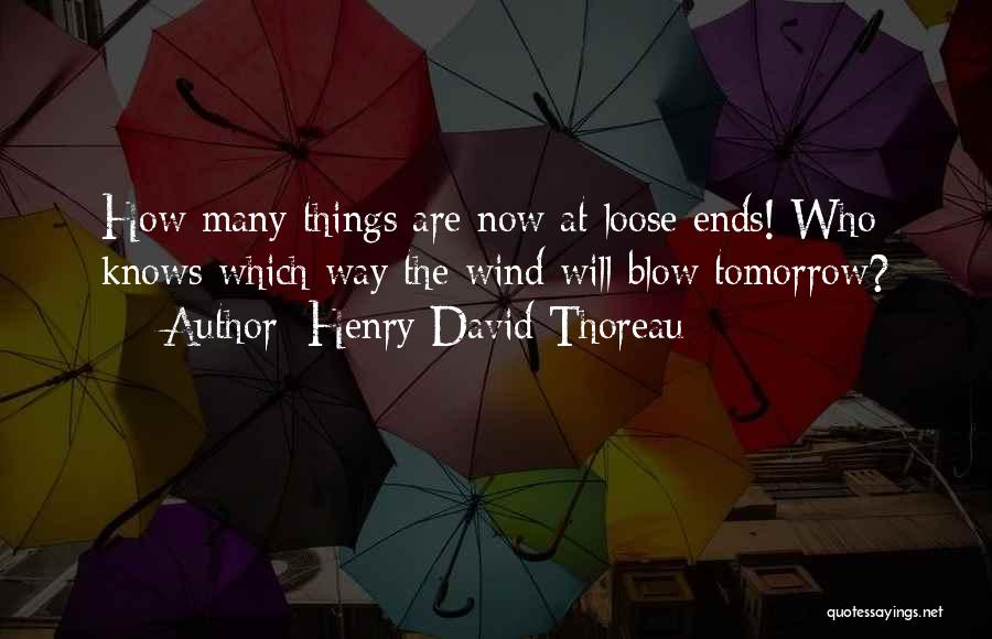 Loose Ends Quotes By Henry David Thoreau