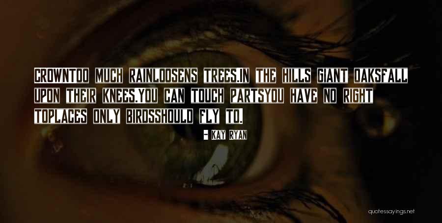 Loosens Quotes By Kay Ryan Loosens Quotes By Kay Ryan