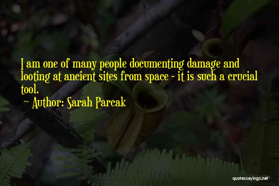 Looting Quotes By Sarah Parcak